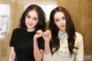 娱乐吃瓜当红小生,揭秘当红小生背后的娱乐吃瓜故事